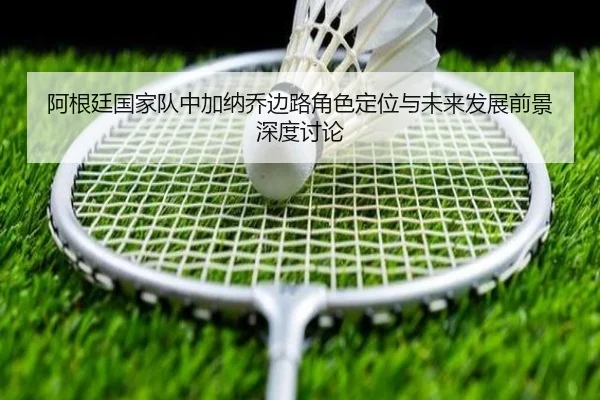 阿根廷国家队中加纳乔边路角色定位与未来发展前景深度讨论